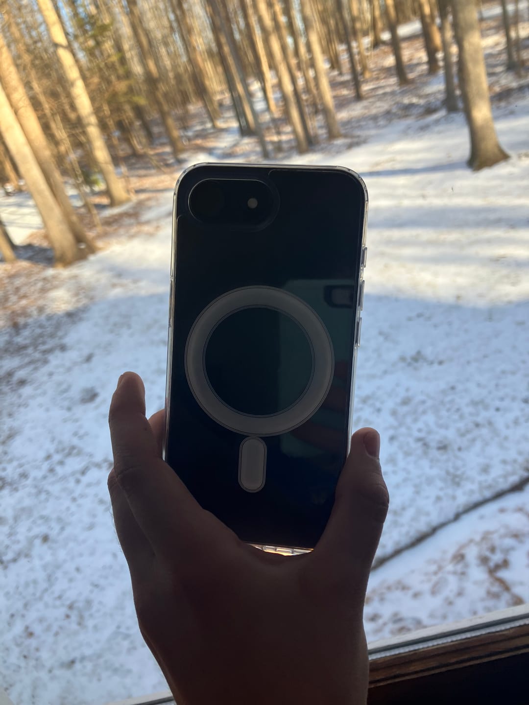 Customer photo review of MagCase Clear