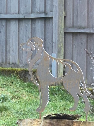 Customer photo review of Gartenstecker Australian Shepherd