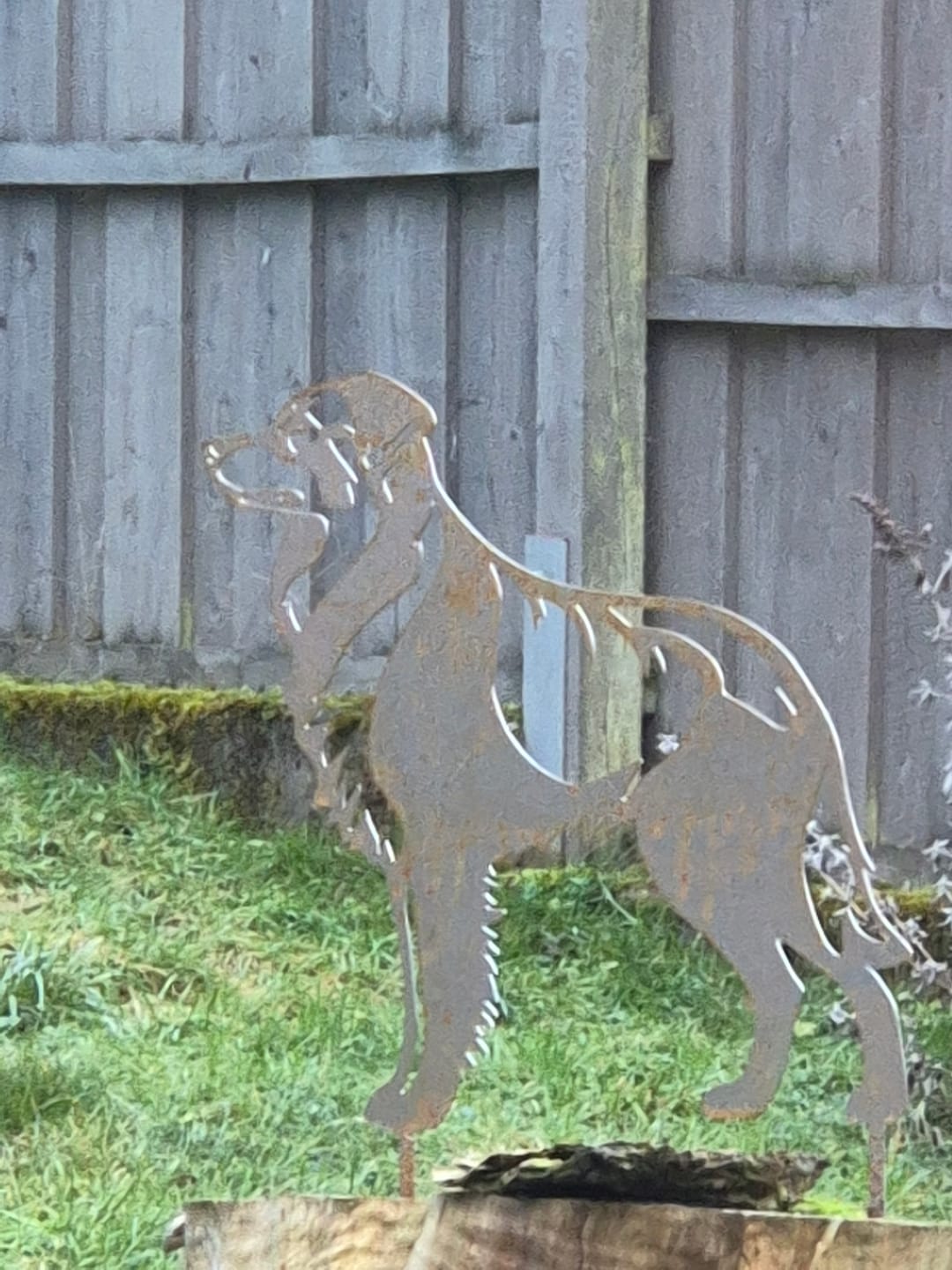 Customer photo review of Gartenstecker Australian Shepherd