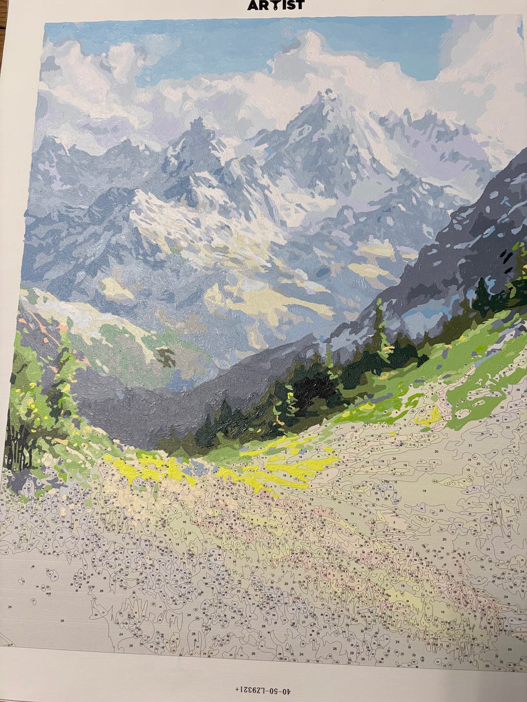 Customer photo review of Mountain Path