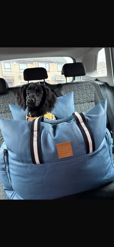 Customer photo review of The Dog Dock
