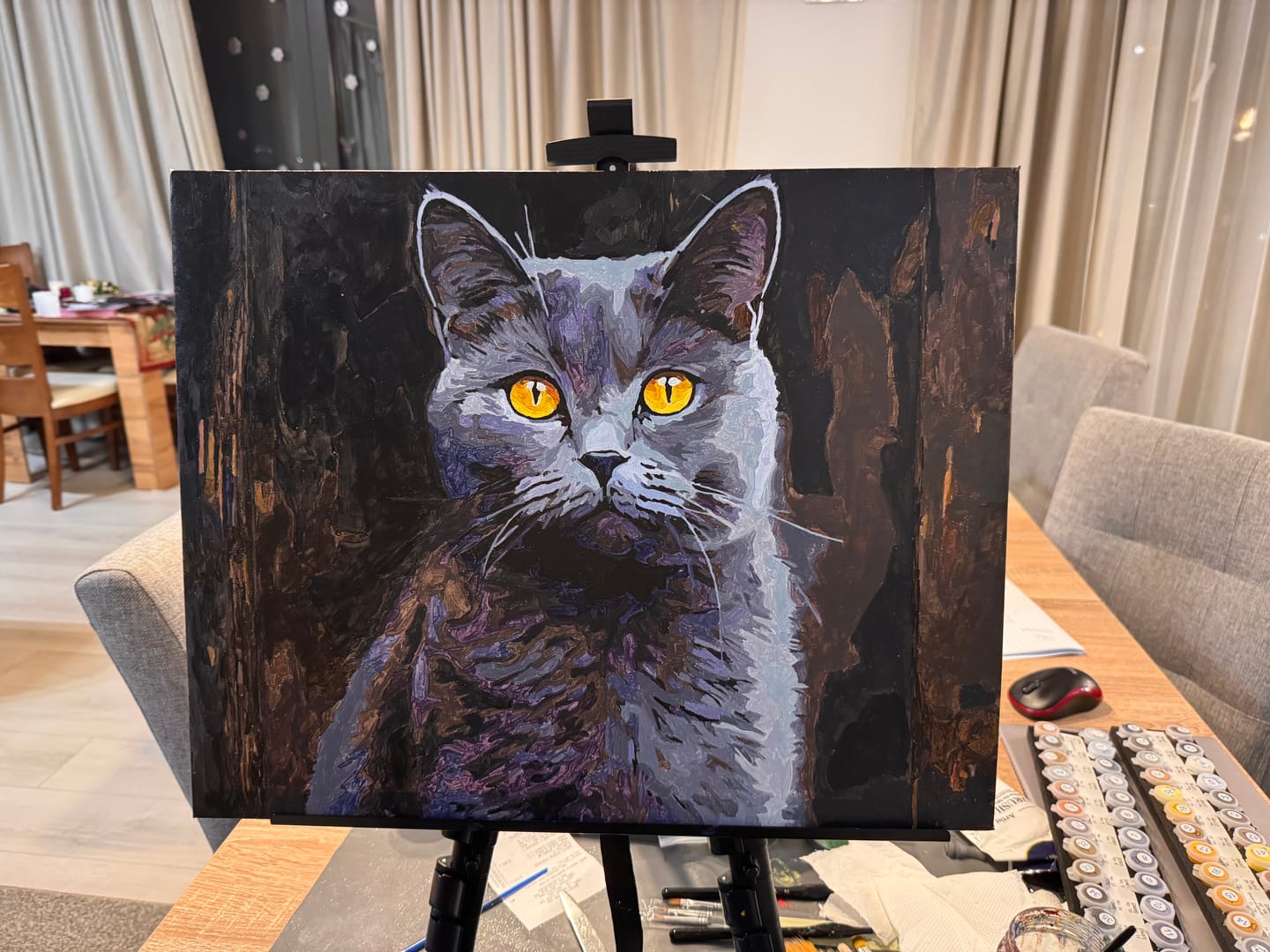 Customer photo review of Chartreux Shorthair
