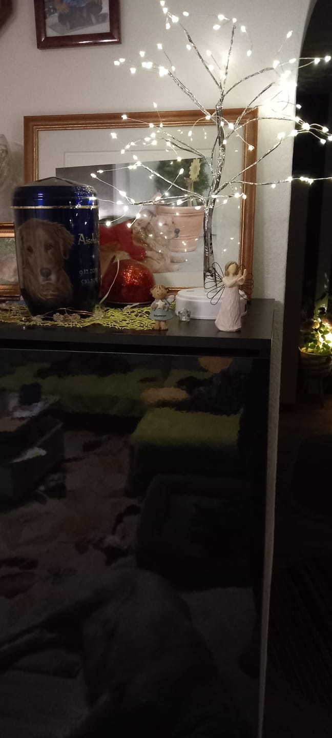 Customer photo review of Bäumlein® - 108 LED's