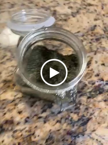 Customer video review of Sugar Shake - 1oz