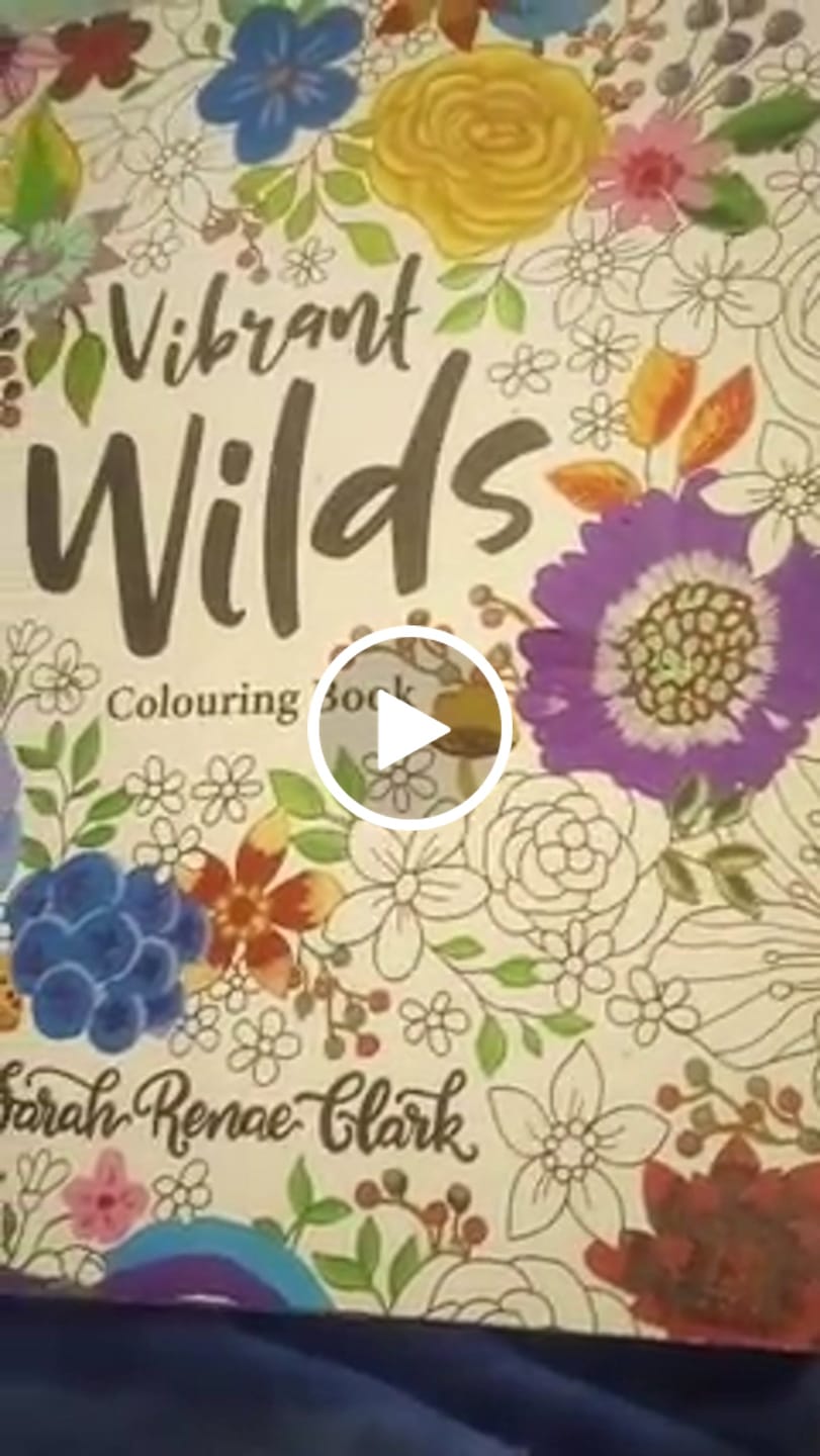 Customer video review of Ohuhu Dual Nib Waterproof Acrylic Pen 30 / 60 / 90 Colors - Kakaako