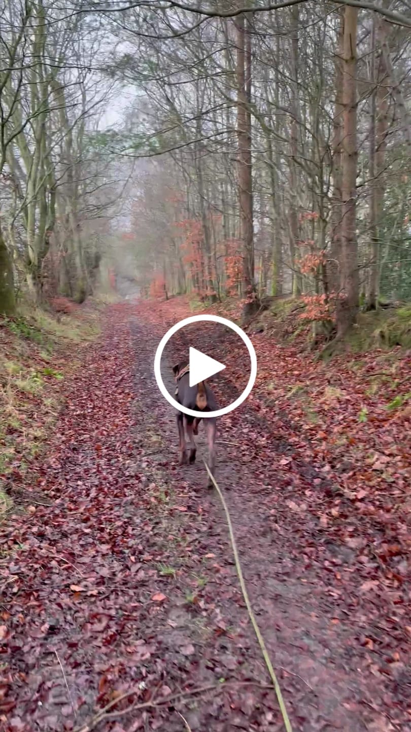 Customer video review of 10m Recall Billowthane® Lead | Waterproof - Matte Khaki