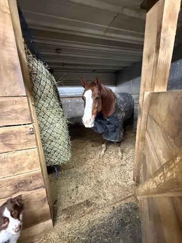 Customer photo review of Build Your Own 2-Strand Bale Net