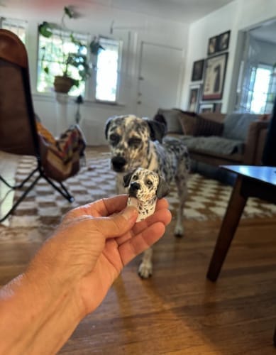 Customer photo review of Personalized Custom Pet Keychain/Magnet