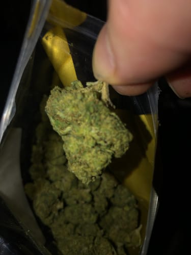 Customer photo review of Black Ice THCA Flower Ounce (28g)