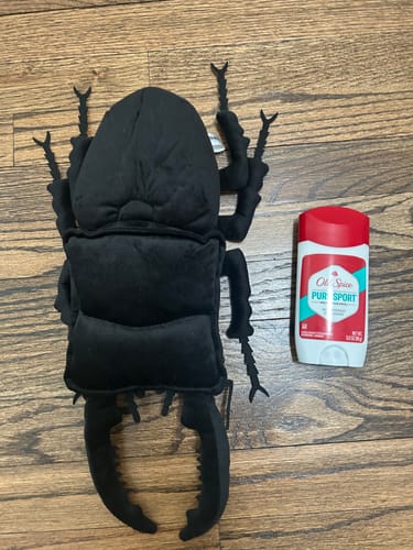 Customer photo review of Titan Stag Beetle Soft Stuffed Plush Toy