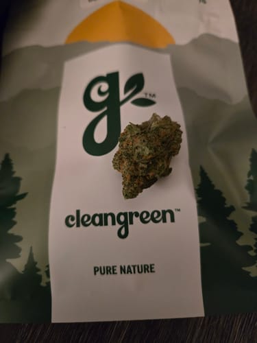 Customer photo review of Blue Dream
