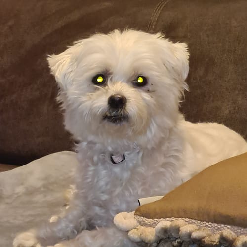 Customer photo review of Aquarel Portret op Tegel - Upload je eigen foto