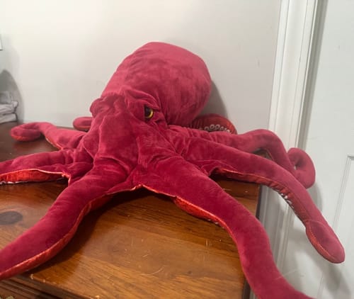Customer photo review of Red Octopus Soft Stuffed Plush Toy