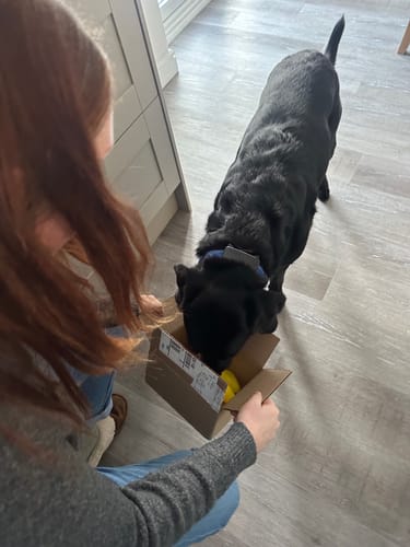 Customer photo review of Treat Holding Fruits and Veggies