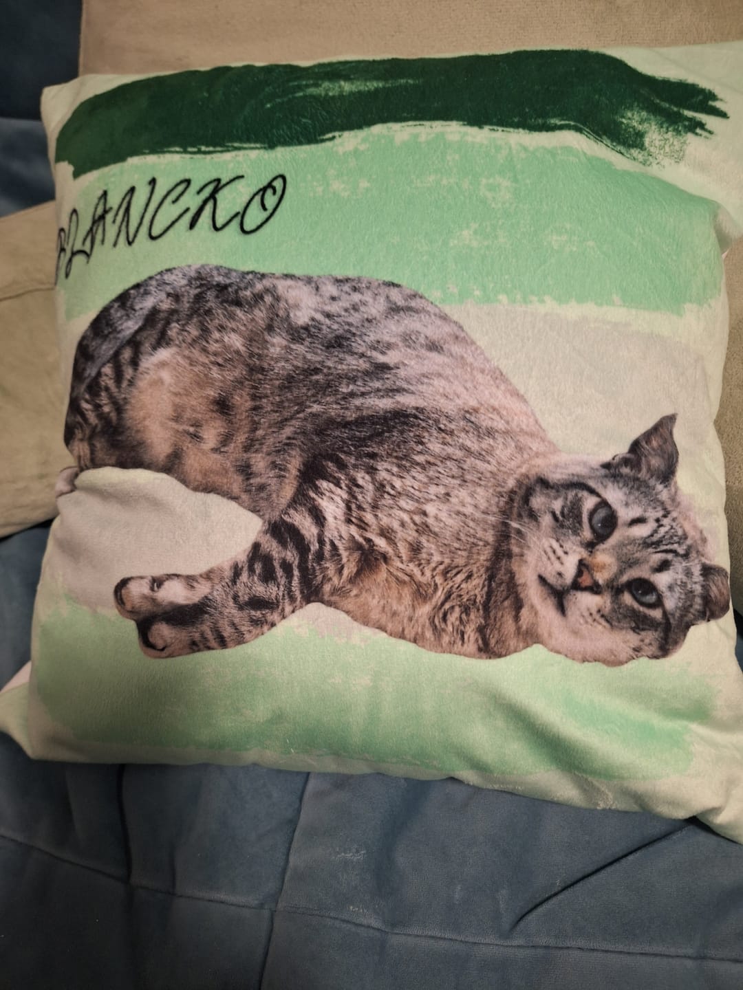 Customer photo review of Photo avec rayures aquarelles - Coussin personnalisé