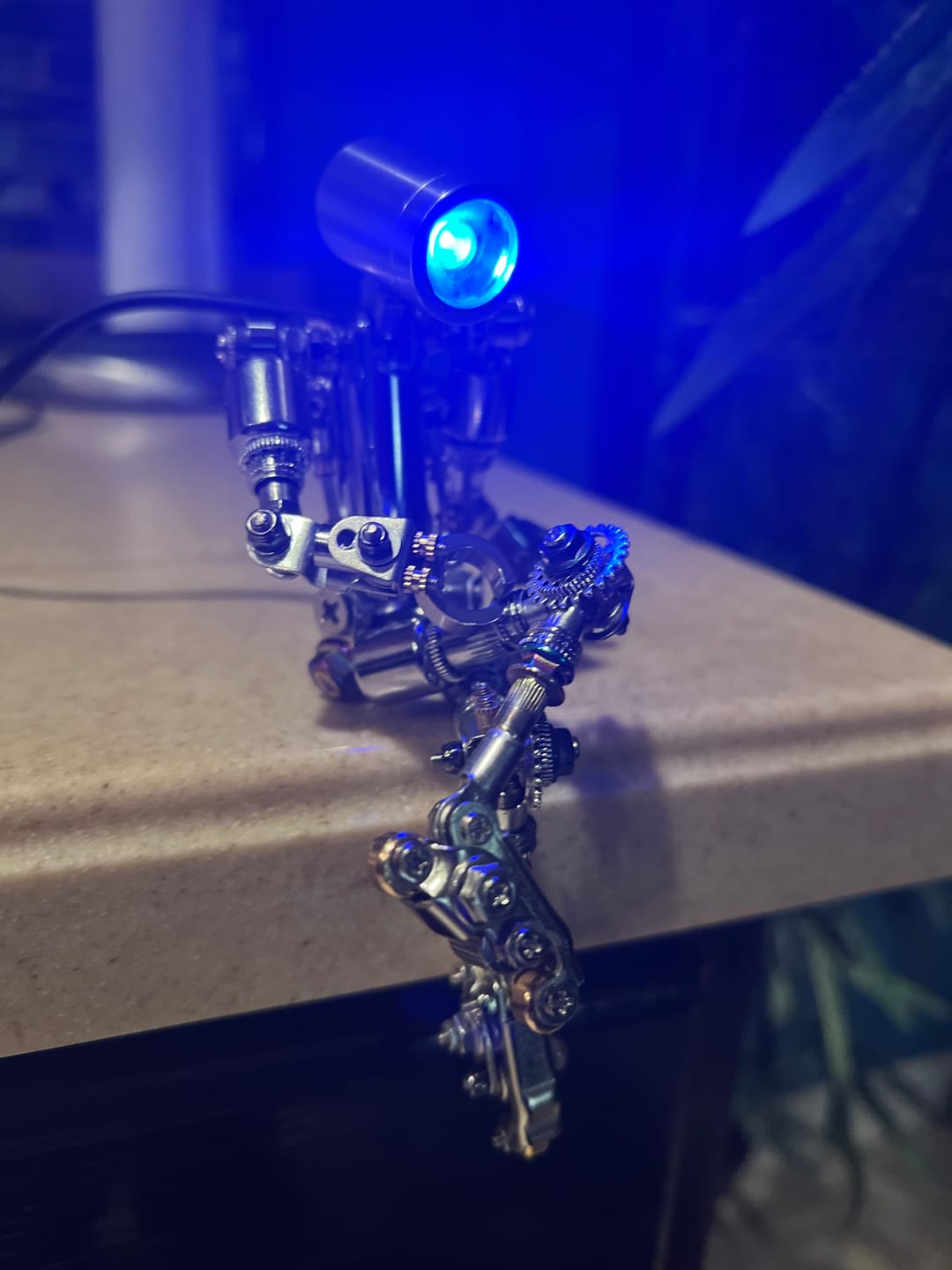 Customer photo review of Terminator M