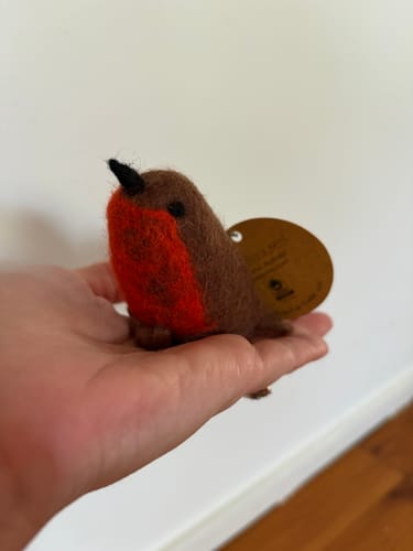 Customer photo review of Felt Robin Bird