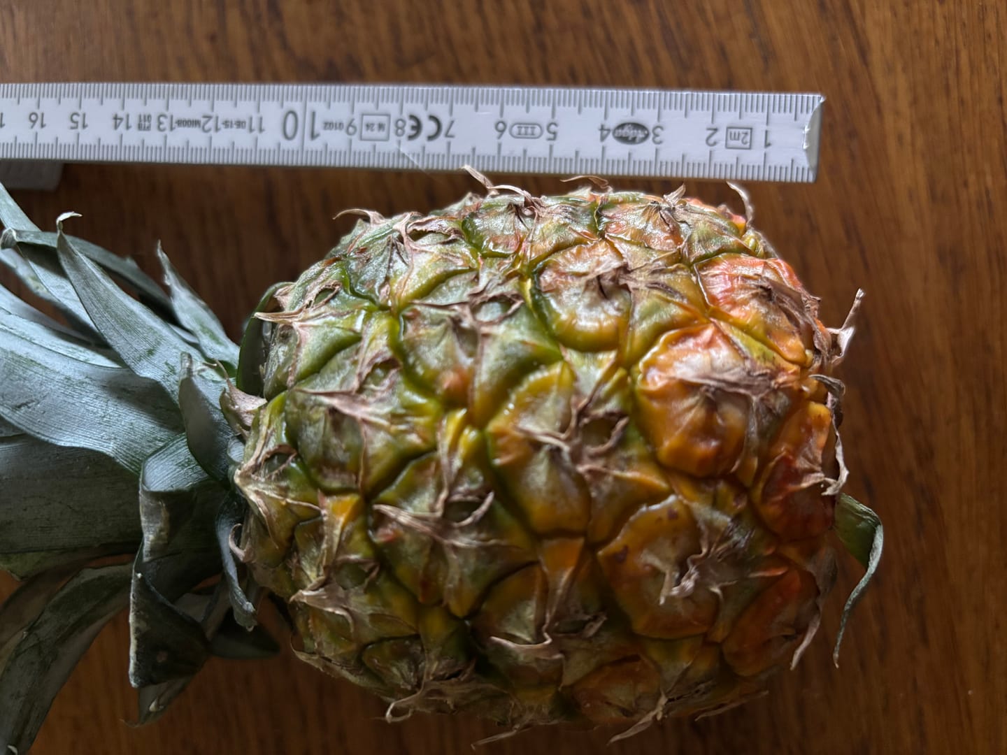 Customer photo review of Ananas Flugware reifgeerntet Aktionspreis %