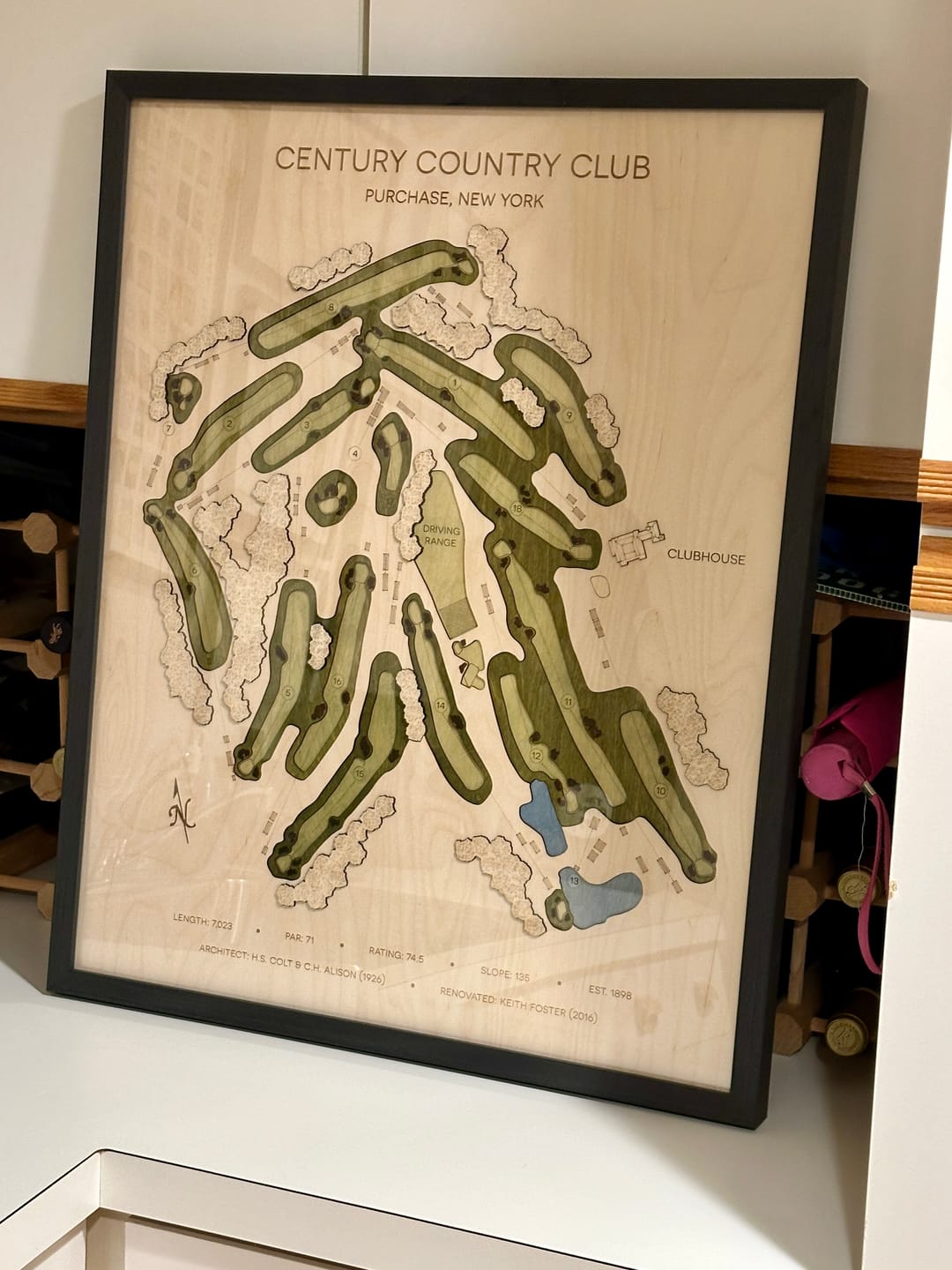 Customer photo review of Custom 3D Multi-Layer Golf Map