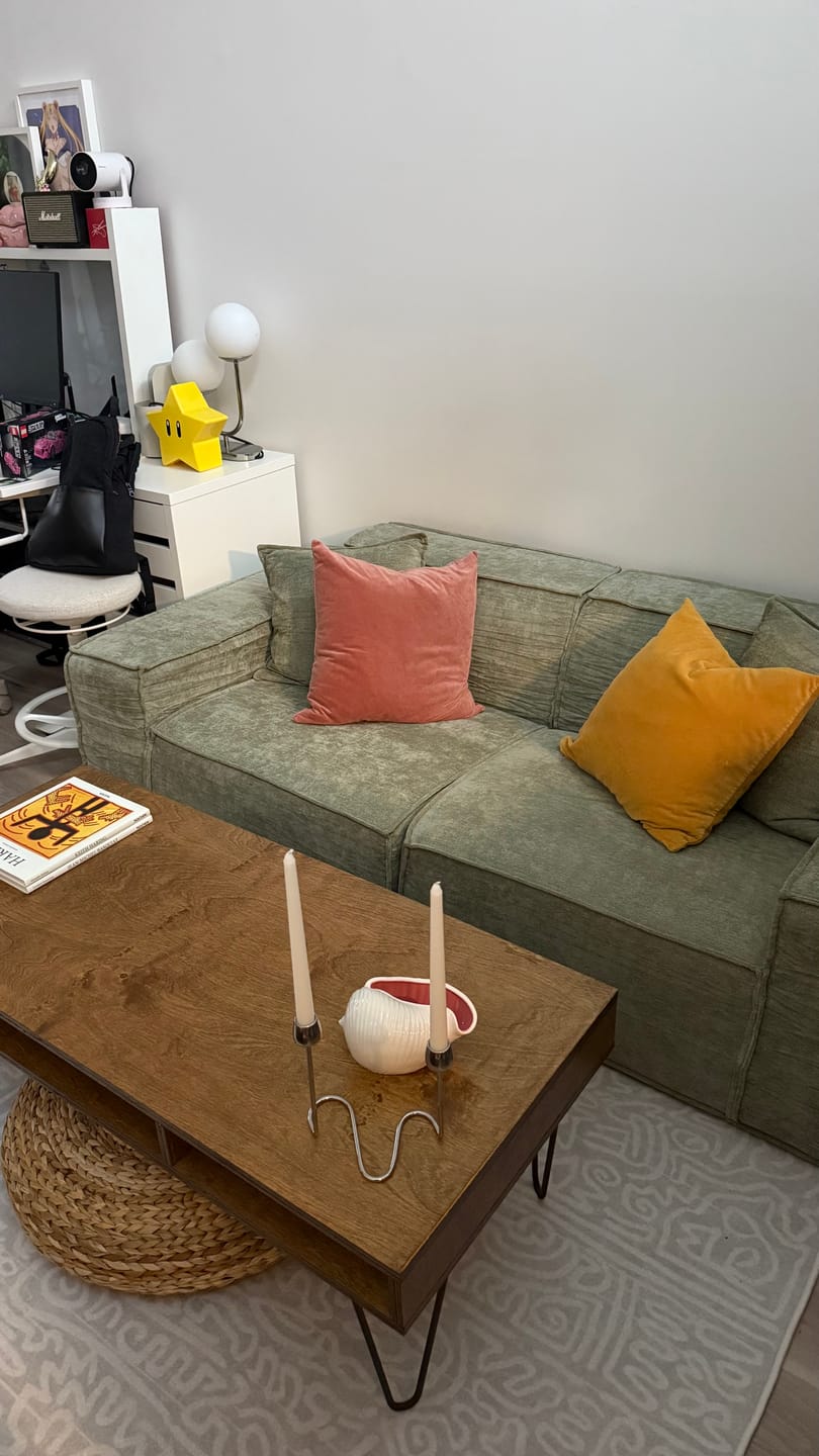 Customer photo review of M1 Sofa Loveseat