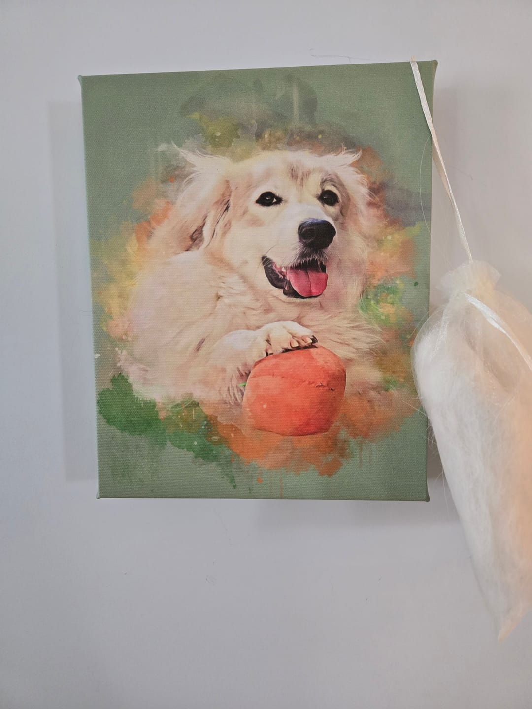 Customer photo review of Pet Art Canvas Print