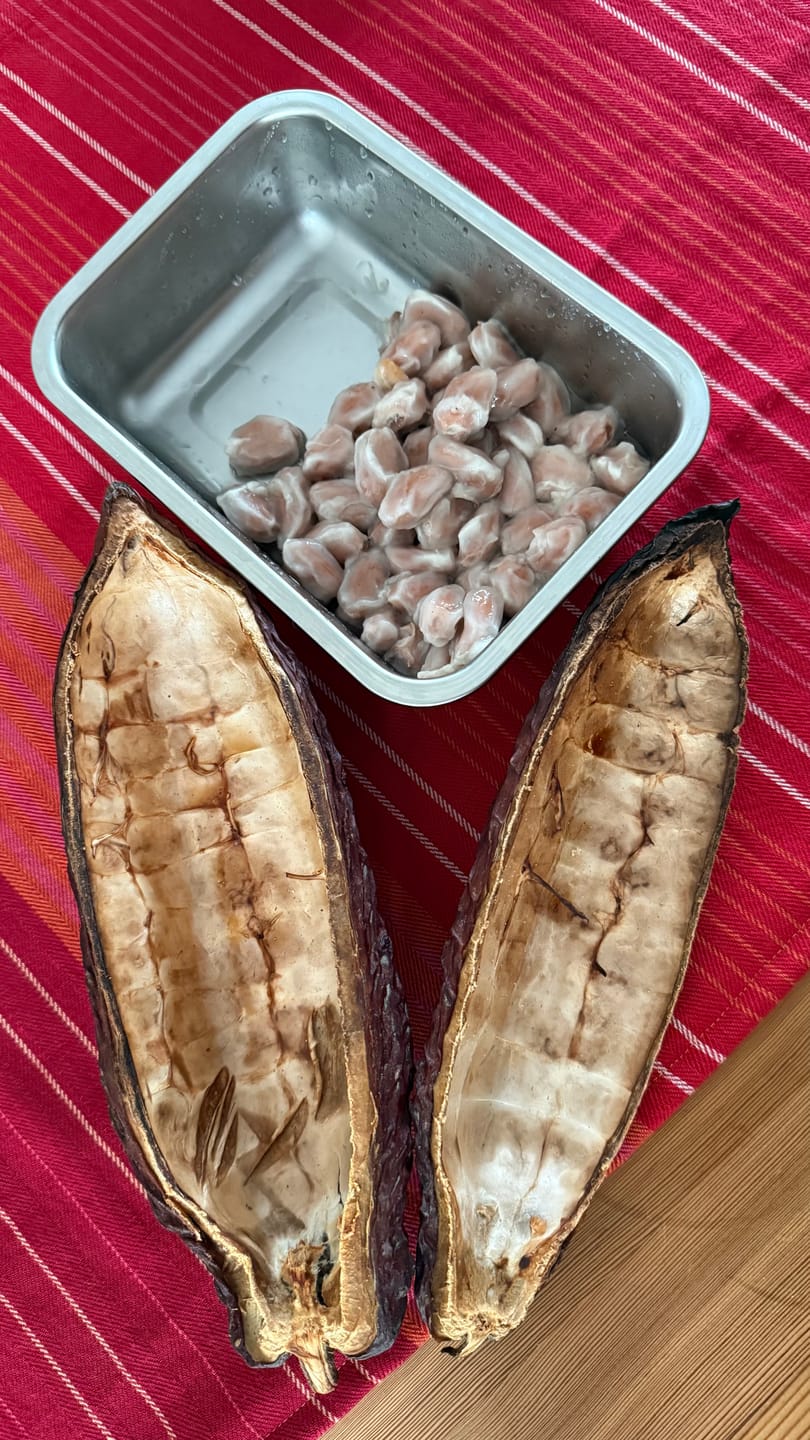 Customer photo review of Kakaofrucht naturbelassen
