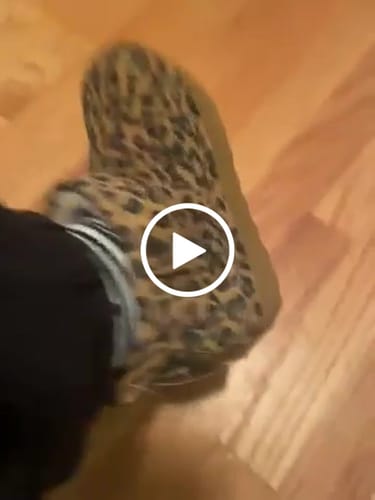 Customer video review of RETRO SHORTY EXOTIC TOBACCO LEOPARD