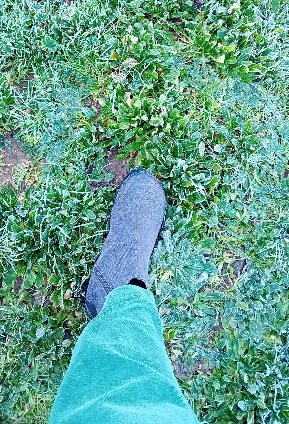Customer photo review of Vaistoa Kajo | Barefoot Chelsea Boots