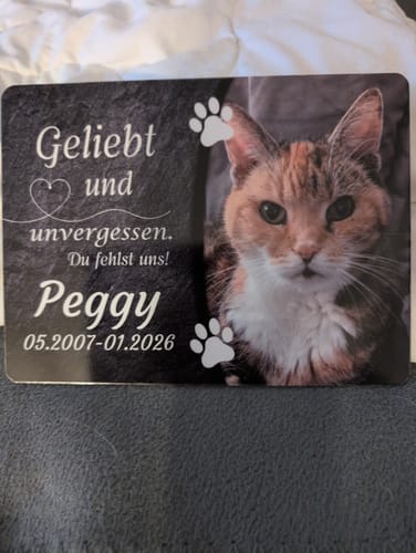 Customer photo review of Katzen Gedenktafel mit Foto & Spruch (UV- & Wetterfest)