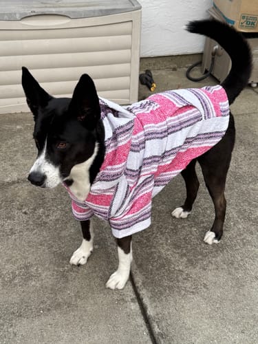 Customer photo review of Free & Easy Return or Exchange Coverage + Package Protection