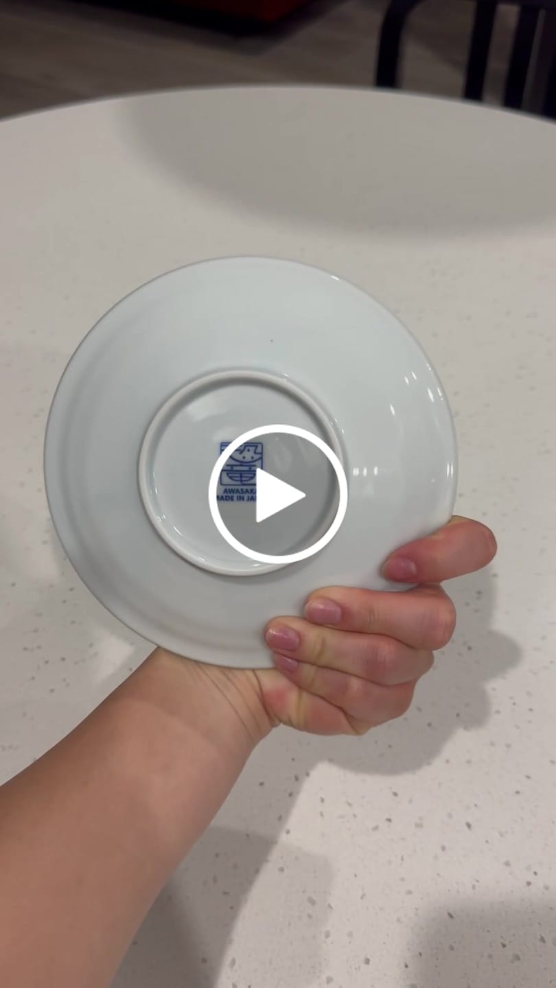 Customer video review of Edo-style Dinosaur Ryuzansui Side Plates