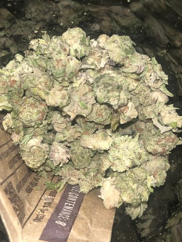 Customer photo review of Lemon Cherry Gelato Runtz - 28 Grams Littles - Indica