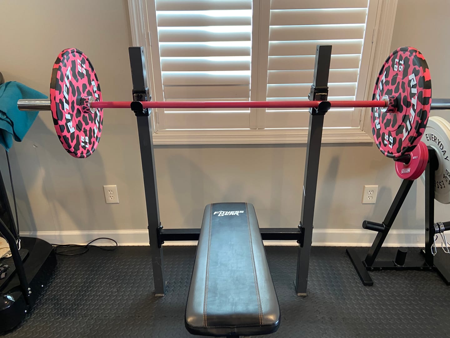 Customer photo review of RitFit Pink leopard print bumper plates Olympic 2-Inch Rubber