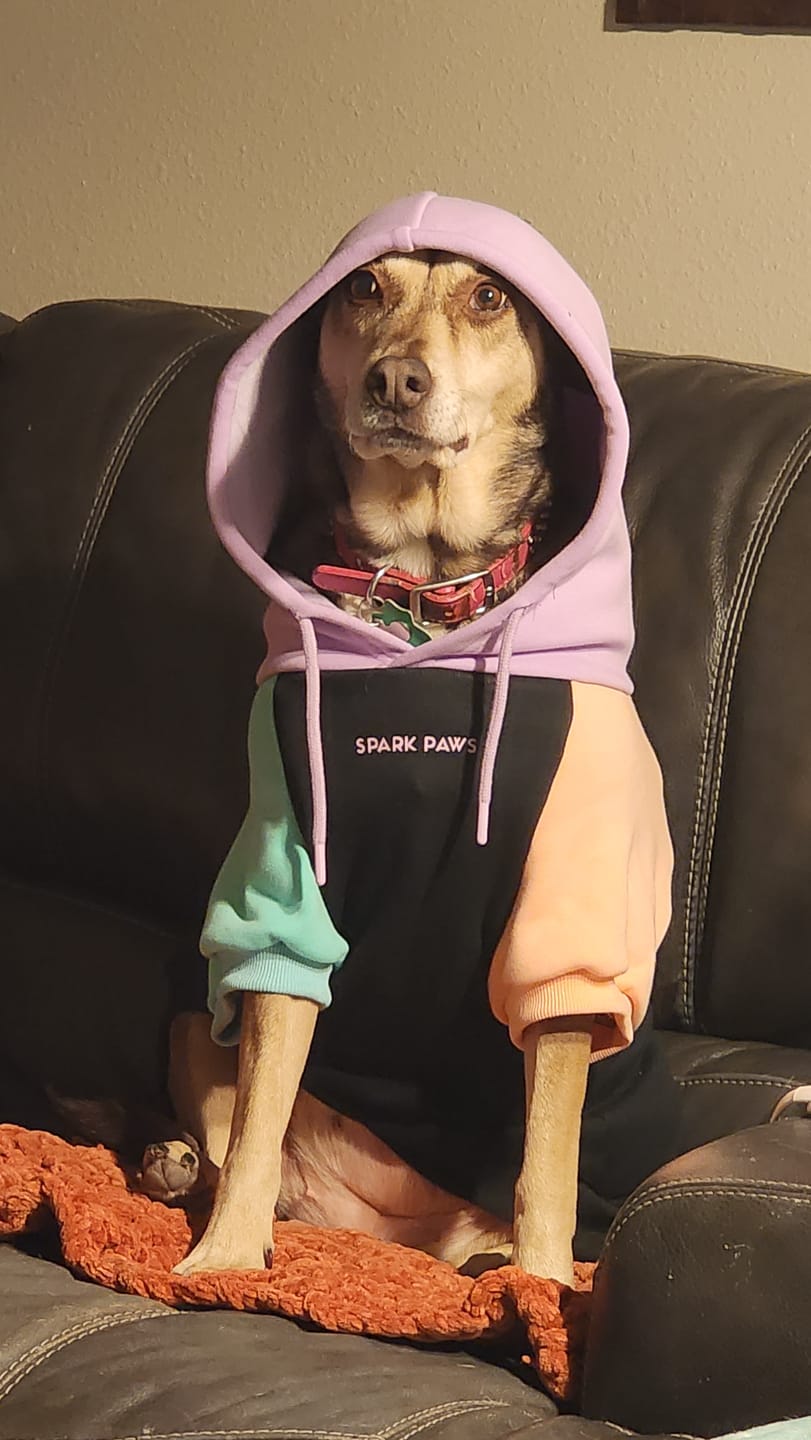 Customer photo review of Cyber Punk Dog Hoodie