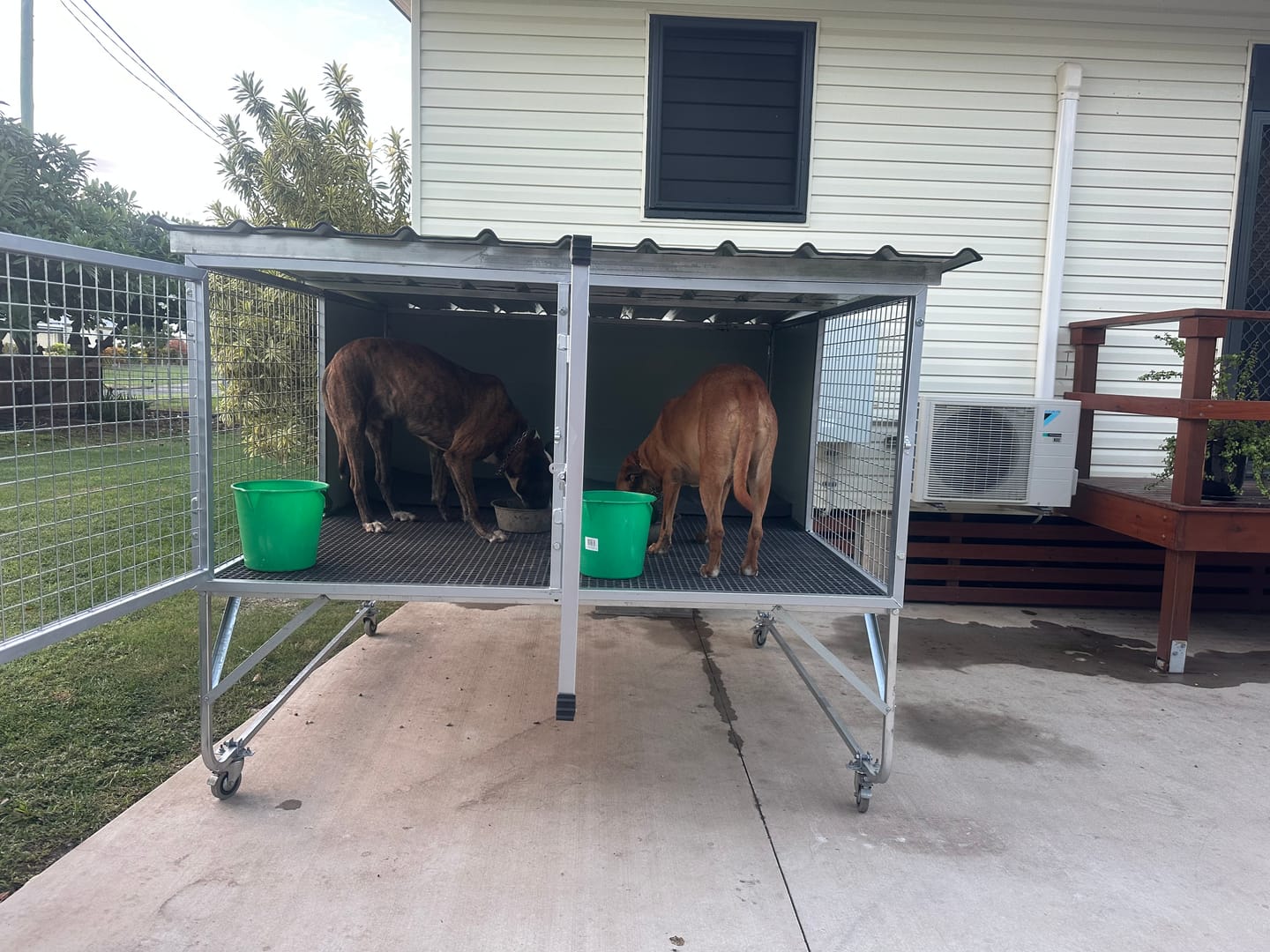 Customer photo review of Raised Safety Kennel