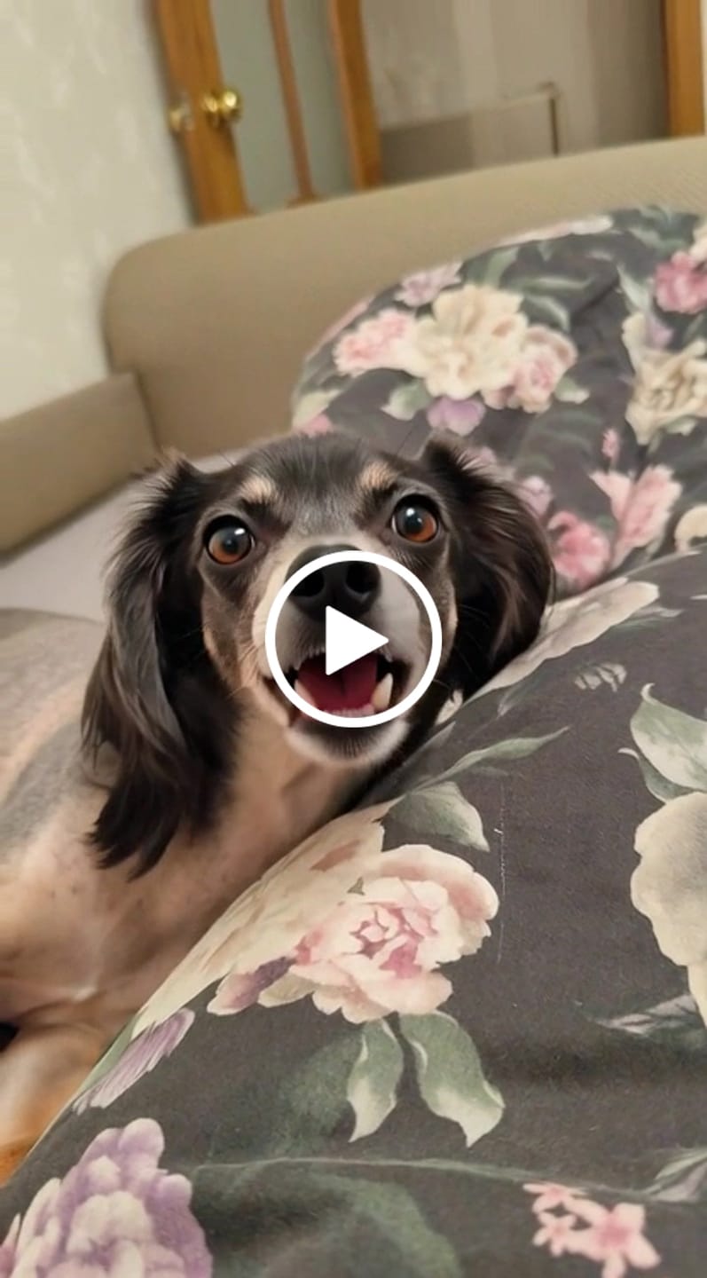 Customer video review of Pasūtījuma sagatavošana