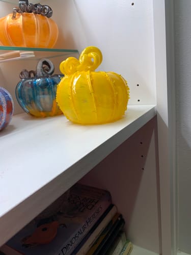 Customer photo review of Ray of Light Squat Pumpkin
