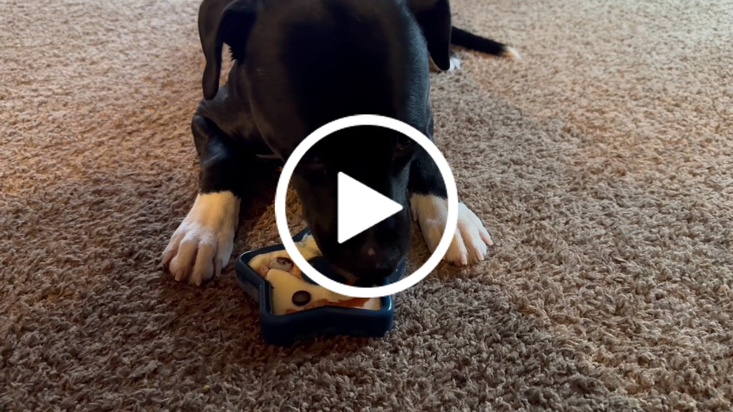 Customer video review of Bone Refills Dog Meat 90 Grams (4 Pack)®