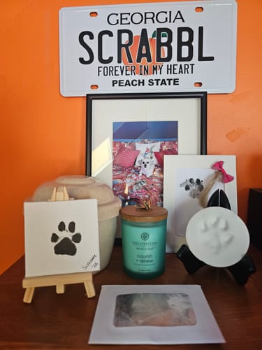 Reviewer's Georgia Metal License Plate customized with 'SCRABBL' as part of a home memorial display.