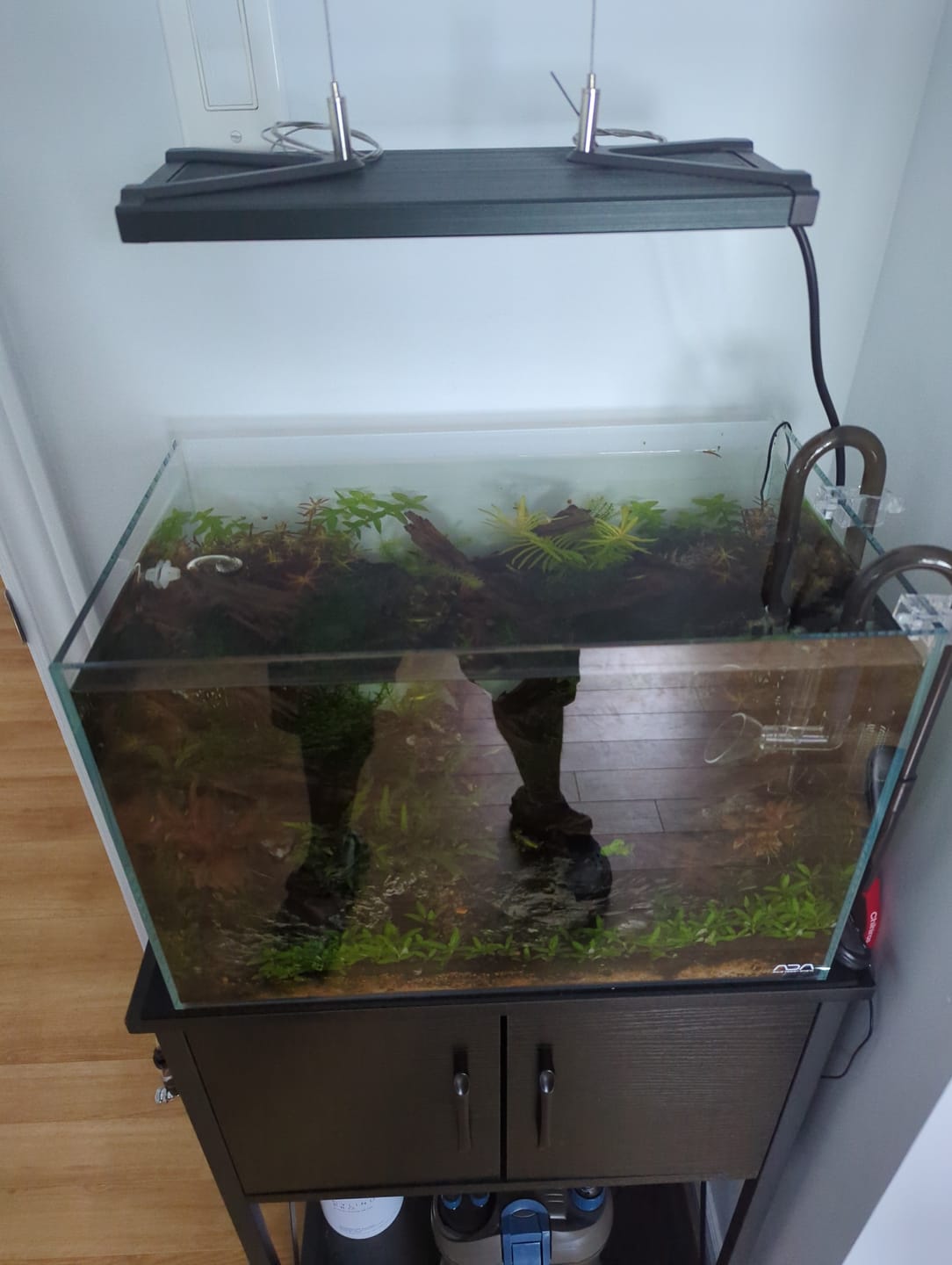 Customer photo review of Chihiros WRGB II Slim LED Light