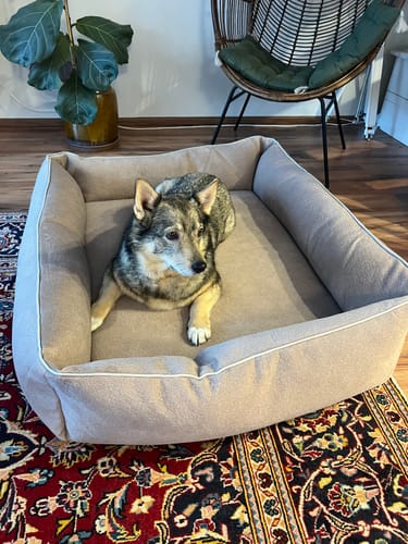 Customer photo review of Ortho Buffalo ortopedinen koiranpeti - Vintage