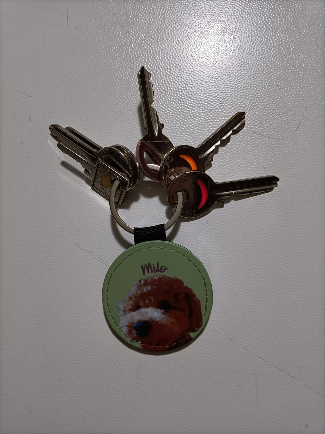 Customer photo review of Ritratto animale domestico - Portachiavi personalizzato