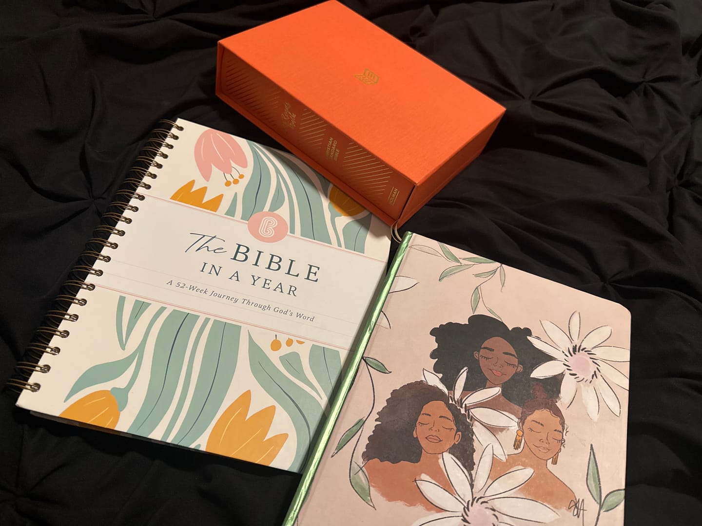 Customer photo review of The Bible In A Year: A 52-Week Journey Through God's Word