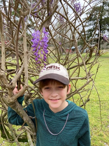 Customer photo review of Shipping Protection by Route