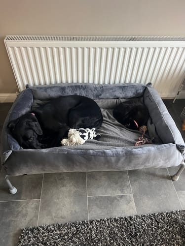 Customer photo review of Dark Grey Cuddle Soft & Dark Grey Velvet Luxury Nest