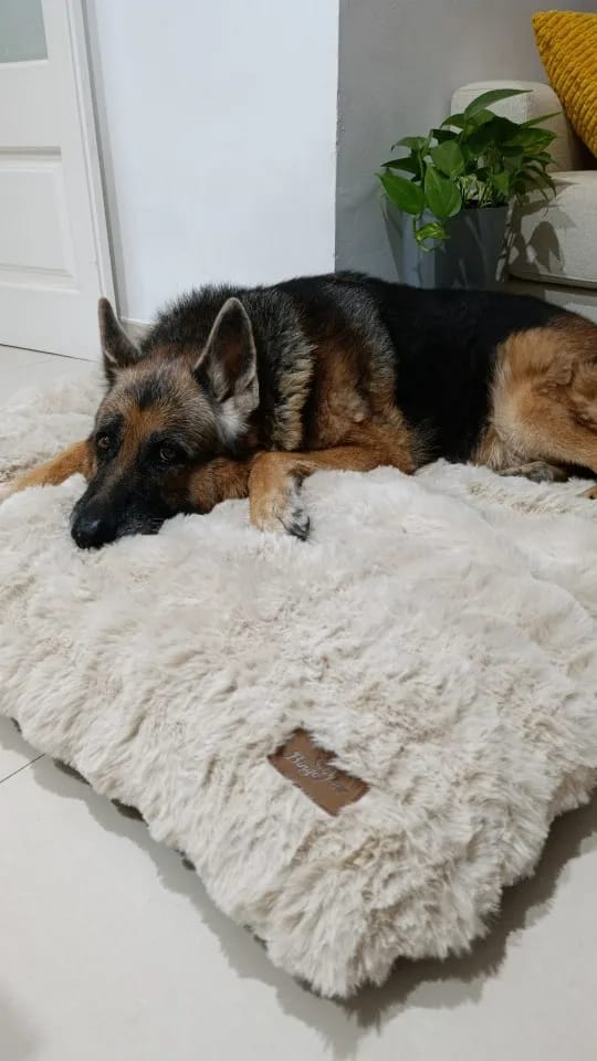 CloudRest customer review photo