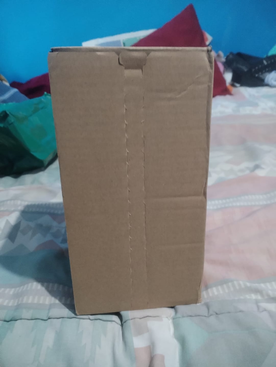 Customer photo review of Nothosaur Graemen - Wolf Dildo - Knot Dildo
