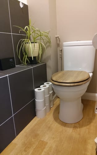 Customer photo review of UK-Made Recycled Toilet Paper – Seriously Sustainable & Plastic-Free