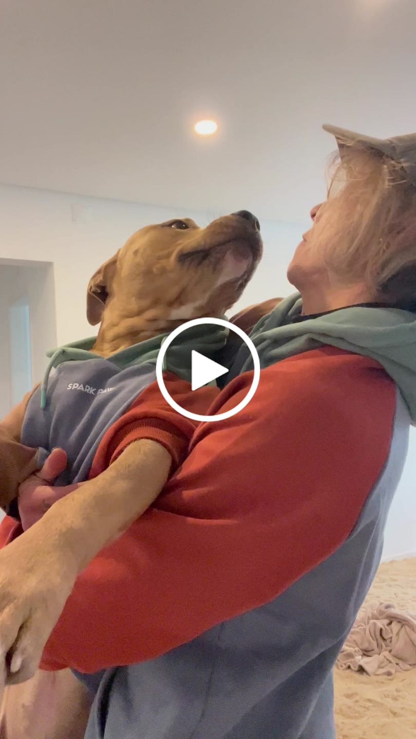 Customer video review of Alpine Human Hoodie