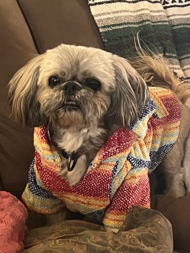 Customer photo review of Free & Easy Return or Exchange Coverage + Package Protection